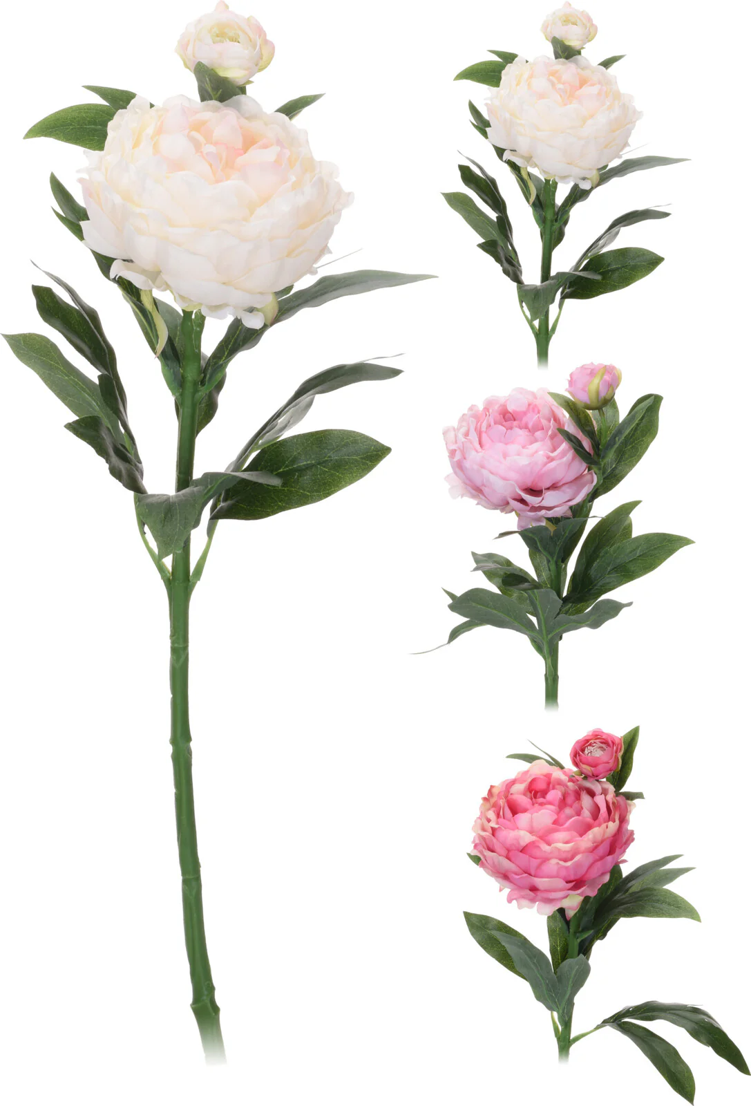 Pikkukuva 1